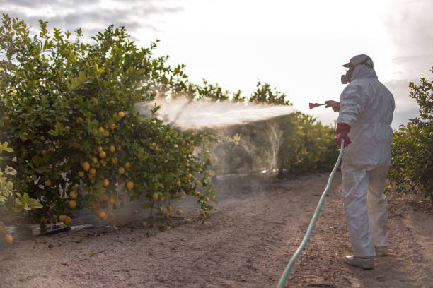 Best Best Pest Control Companies  in Edmonton, KY