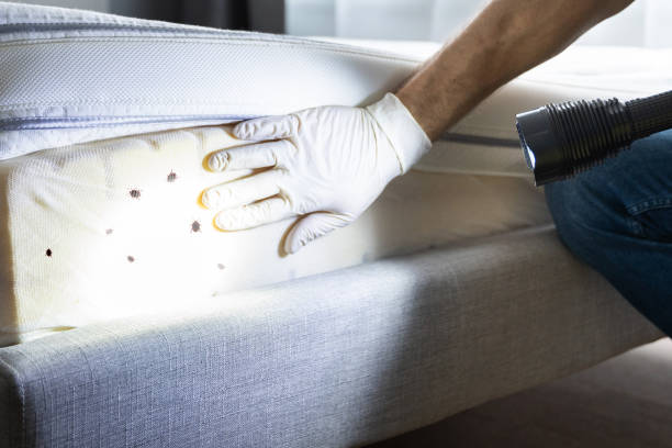 Best Mosquito Control Services  in Edmonton, KY